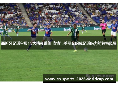 西班牙足球宝贝15大精彩瞬间 热情与美丽交织成足球魅力的独特风景